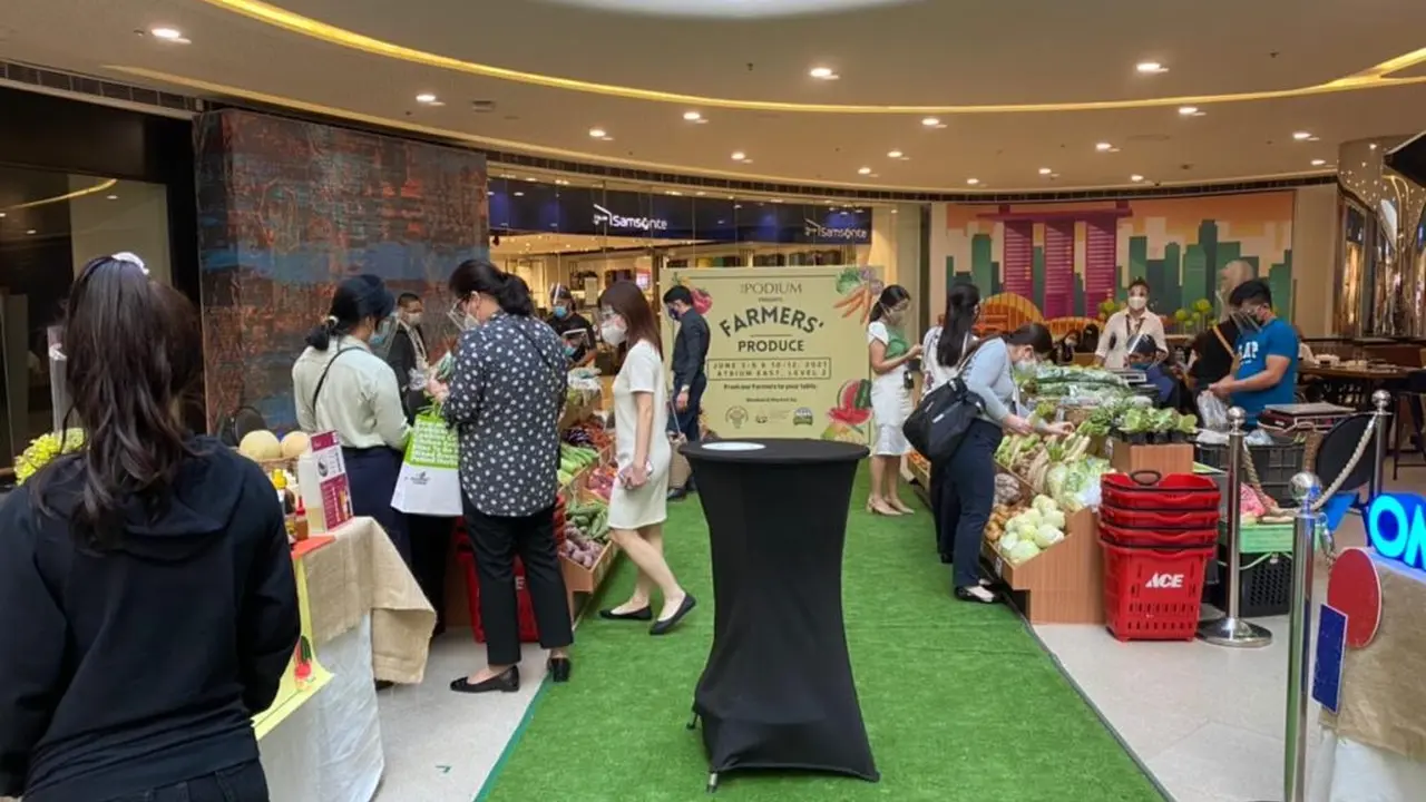 Close up on a plate of mashed potatoes, topped with baked pork chops with cream of mushroom soup, and a side of green beans.