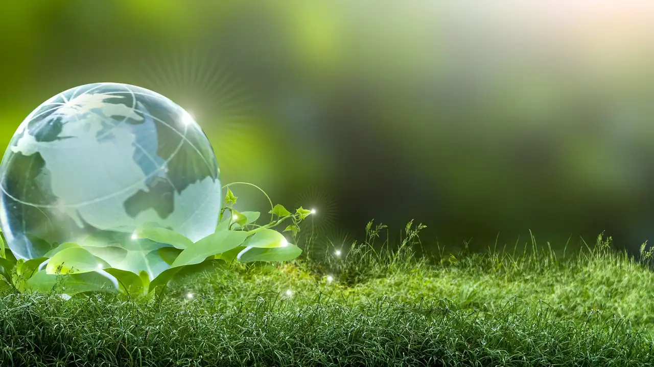 Two mint chocolate milkshakes with whipped cream and green sprinkles.